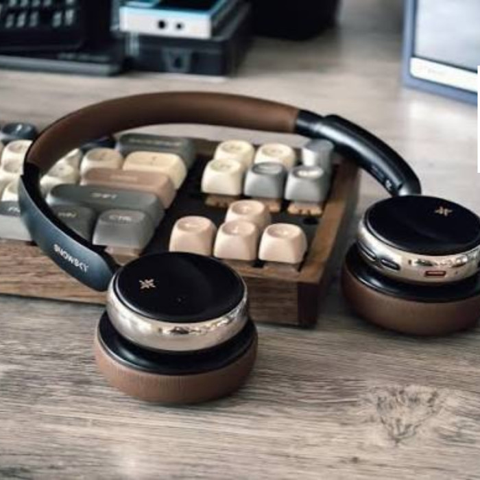 Fiio Snowsky Anytime Anc Retro Headphones